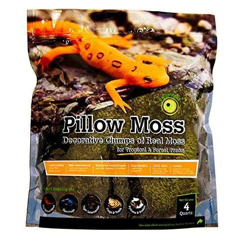 Galapagos Pillow Moss 4 Qts